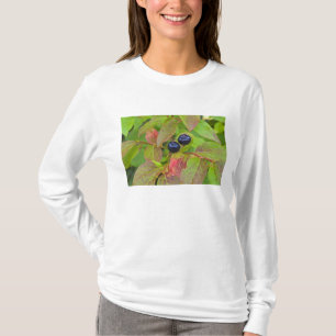 Ripe huckleberries in the Flathead National T-Shirt