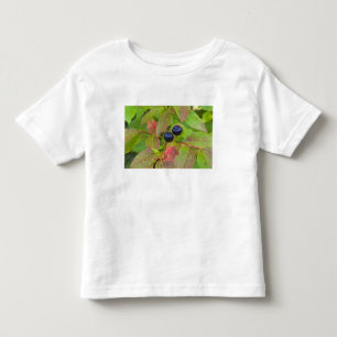 Ripe huckleberries in the Flathead National Toddler T-Shirt