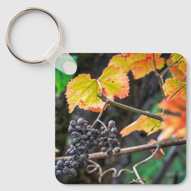 Ripe Isabella grape Key Ring (Front)