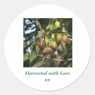 Ripe Olives Classic Round Sticker