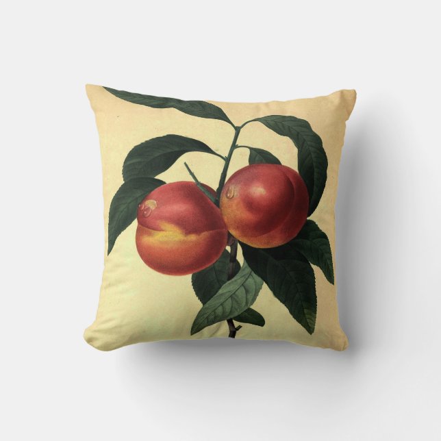Ripe Peaches Cushion (Front)