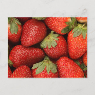 ripe strawberries postcard