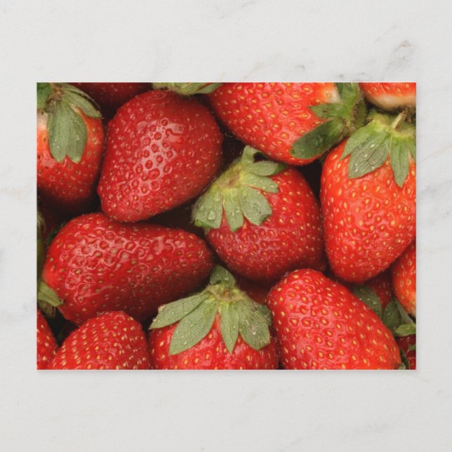 ripe strawberries postcard (Front)