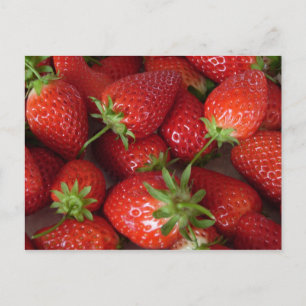 Ripe Strawberries Postcard
