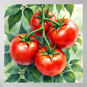 Ripe Tomato Vine Watercolor Fresh Poster