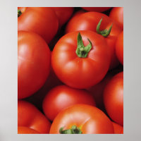 Ripe Tomatoes - Bright Red, Fresh