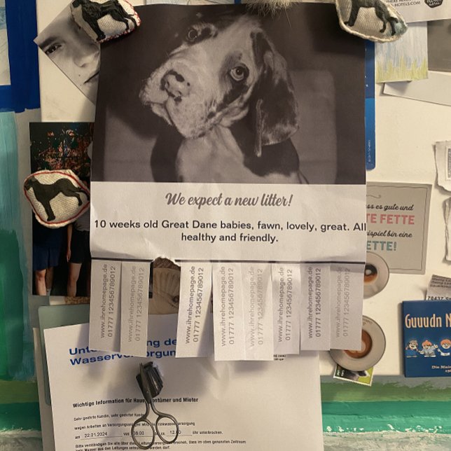 Ripp Off Flyer Puppy selling red green  (Creator Uploaded)