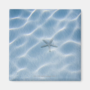 Rippled blue water with starfish magnet