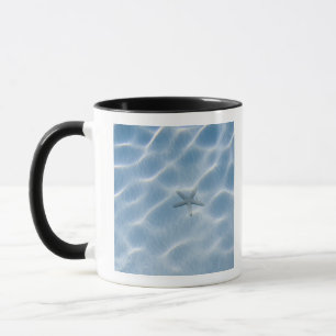 Rippled blue water with starfish mug