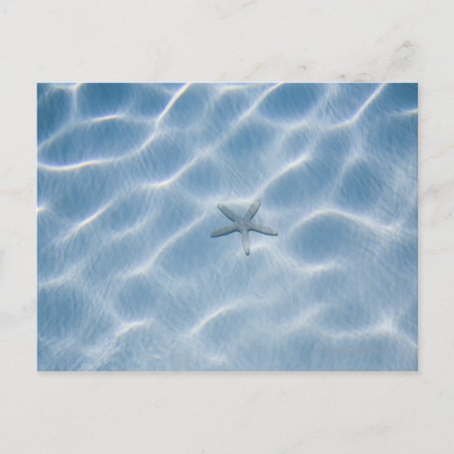 Rippled blue water with starfish postcard (Front)