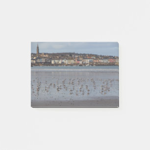 Ris beach in Douarnenez Post-it Notes