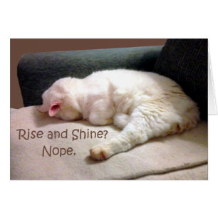 Rise and Shine? Nope.