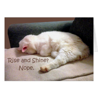 Rise and Shine? Nope.