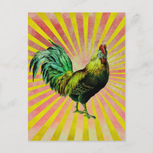 Rise and Shine Postcard