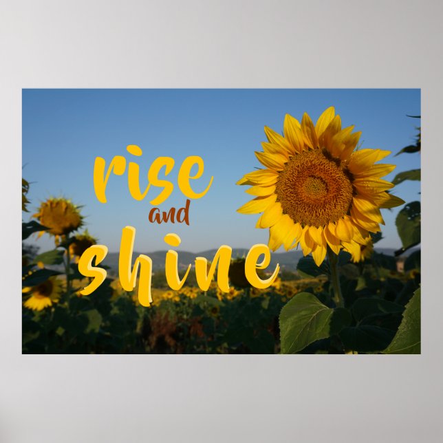 rise and shine sunflower field photo  poster (Front)