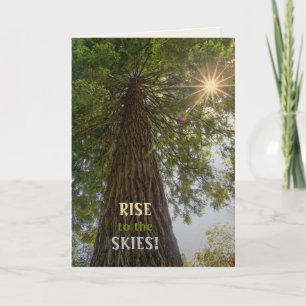 RISE Inspirational Photo of a Tree to the Sky  Card