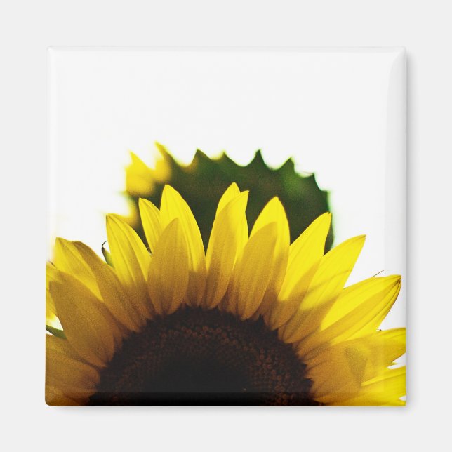 Rise &  Magnet (Front)