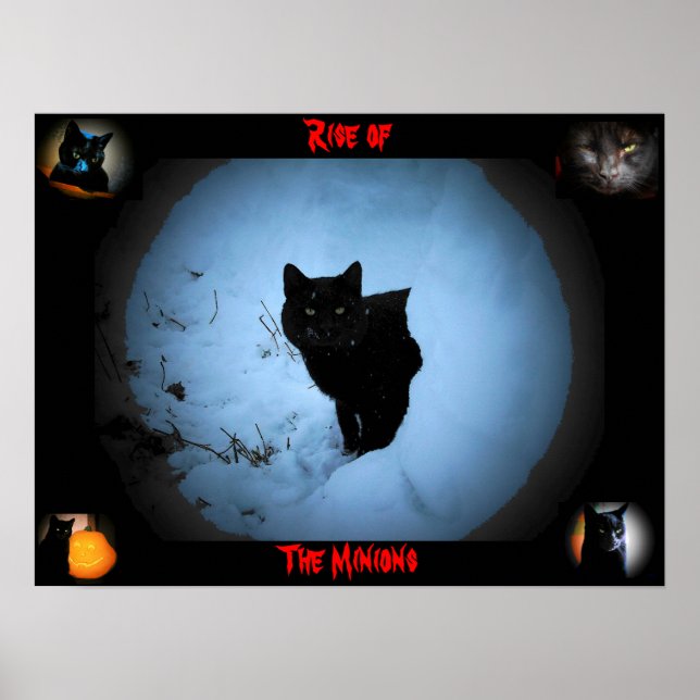 Rise of the Minions Poster (Front)