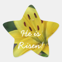 Risen Lily