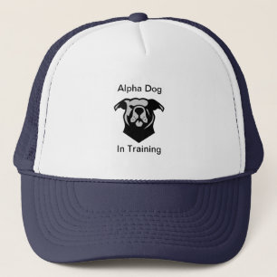 Rising Alpha-Dog in Training Hat