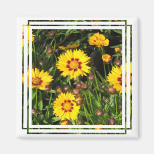 Rising Sun Coreopsis Square Magnet