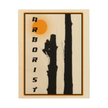 Rising sun silhouette tree climber Arborist