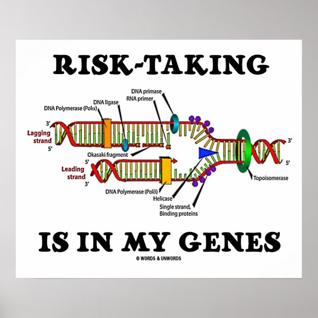Risk-Taking Is In My Genes DNA Replication Humour Poster (Front)