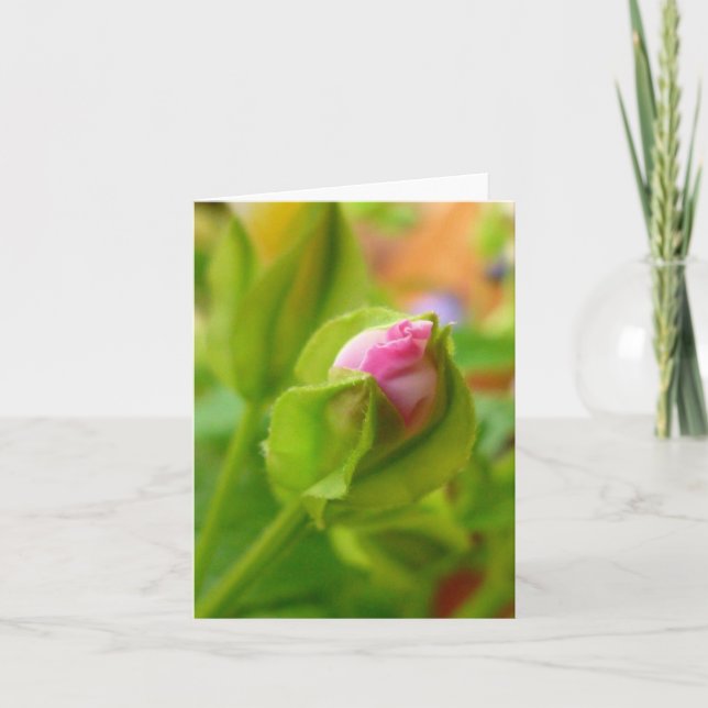 Risk to Blossom Card (Front)