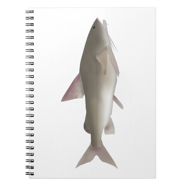 Rita Notebook (Front)