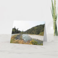 River and Evergreens