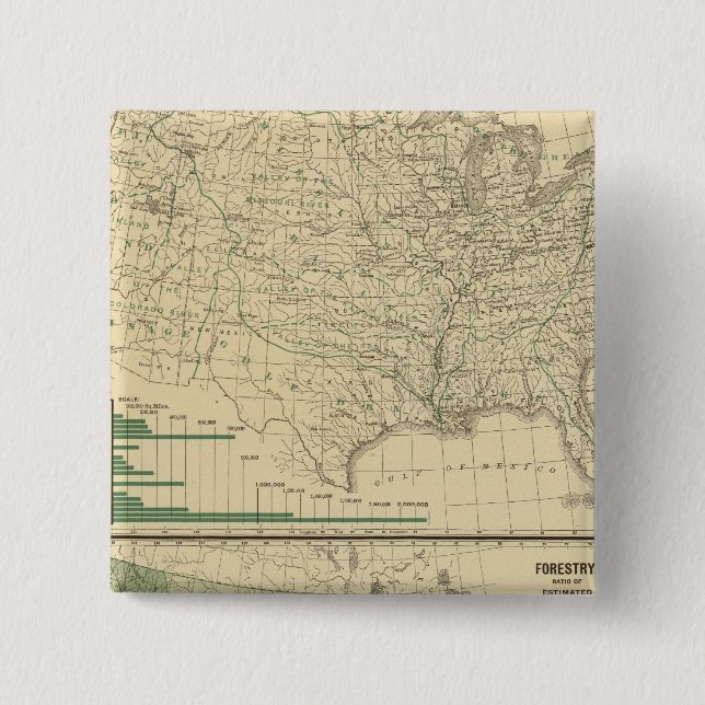 River basins, Forestry 15 Cm Square Badge (Front)