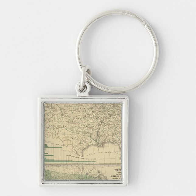 River basins, Forestry Key Ring (Front)