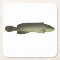River Blackfish Print, Value Poster Paper (Matte)