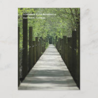 River Boardwalk Postcard