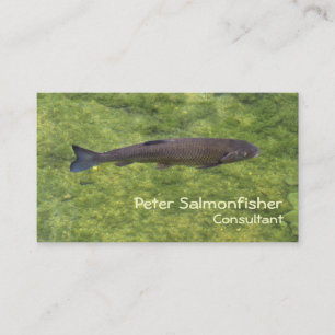 River fish swimming business card