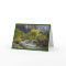 River, Forest & Nature Park Blank Greeting Card
