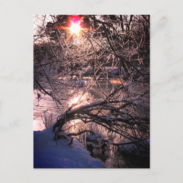 River Hafren / Severn in Winter Postcard (Front)