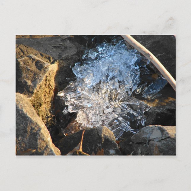 River Ice Postcard (Front)