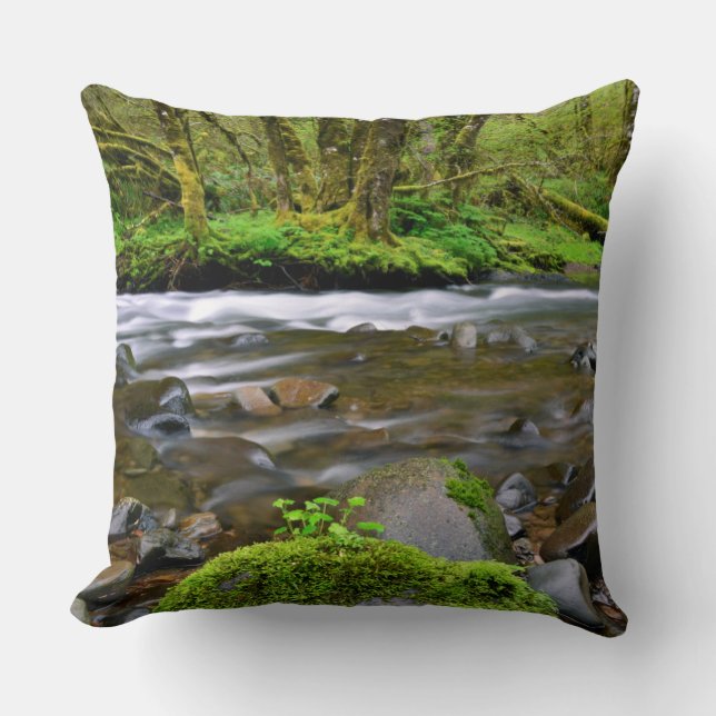 River in green forest, Oregon Cushion (Front)
