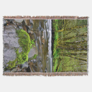 River in green forest, Oregon Throw Blanket