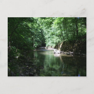 river in the forest croatia postcard