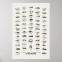 River & Jungle Tropical Fish-Naturalist's Library