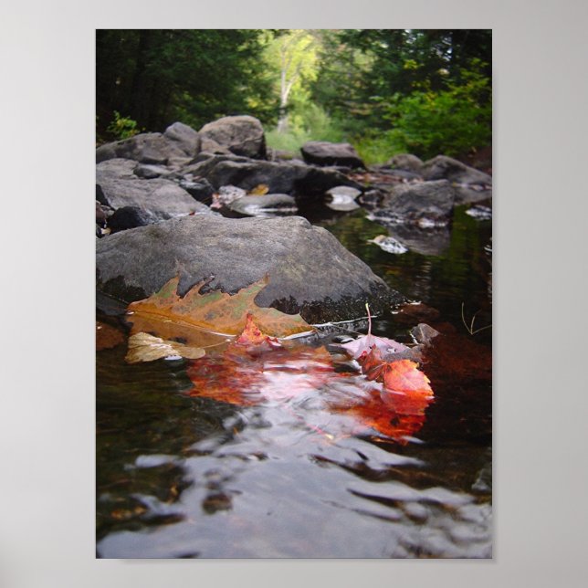 River Leaves Poster (Front)