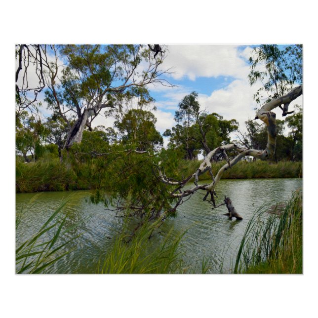 River Murray Australia, Tree Branches, Poster (Front)