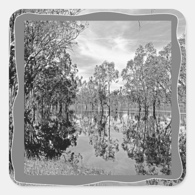 River Murray Black White Photo Gum Tree Reflection Square Sticker (Front)