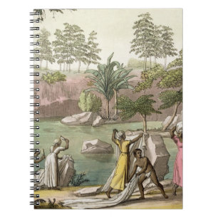 River near San Benedetto, Madagascar, plate 81 fro Spiral Notebook