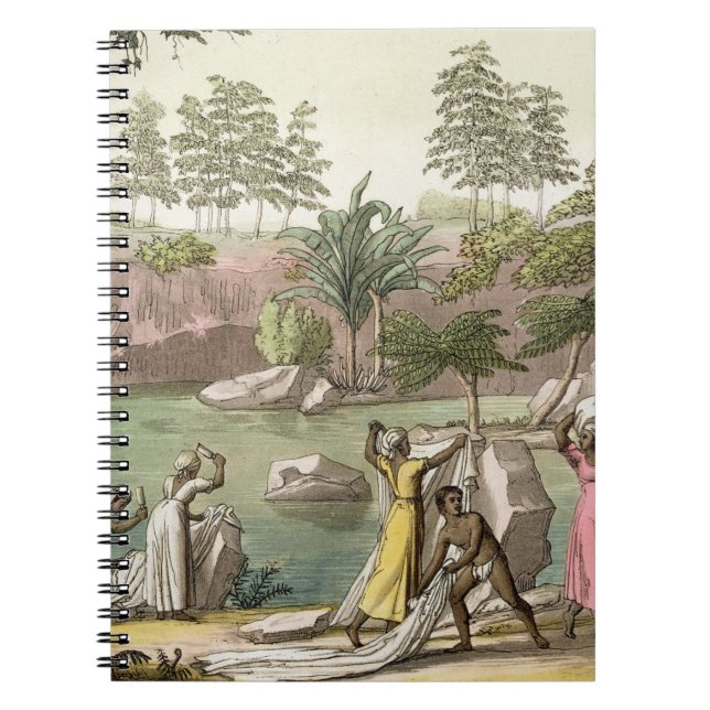 River near San Benedetto, Madagascar, plate 81 fro Spiral Notebook (Front)