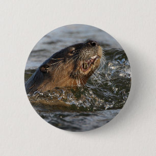 river otter 6 cm round badge