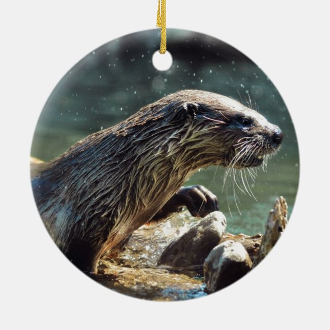 River Otter Animal-lover's Wildlife Photo Ceramic Tree Decoration (Back)