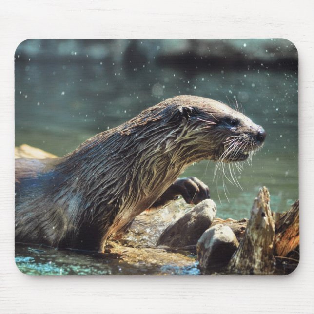 River Otter Animal-lover's Wildlife Photo Mouse Pad (Front)